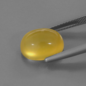 Opala de Fogo Amarelo Natural 4.63ct, Transparente, Transparente/Translúcido