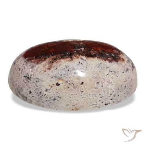 Opala de fogo multicolorido natural 27,35ct, corte oval, opaco
