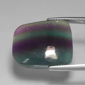 Fluorita multicolorido natural 15,97ct, transparente, transparente/translúcido