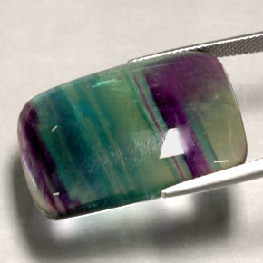 Fluorita multicolorido natural 48,88ct, transparente, transparente/translúcido
