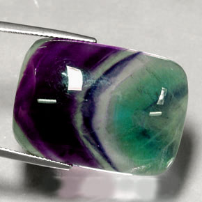 Fluorita multicolorido natural 48,04ct, transparente, transparente/translúcido