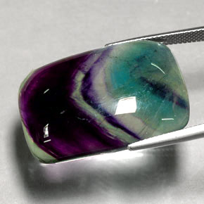 Fluorita multicolorido natural 48,04ct, transparente, transparente/translúcido
