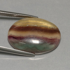 Fluorita multicolorido natural 31,62ct, transparente, transparente/translúcido