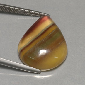Fluorita multicolorido natural 23,37ct, transparente, transparente/translúcido