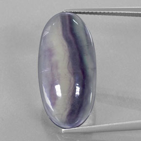 Fluorita multicolorido natural 19,82ct, transparente, transparente/translúcido