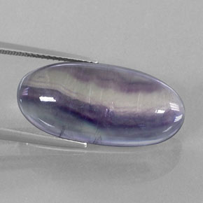 Fluorita multicolorido natural 19,82ct, transparente, transparente/translúcido
