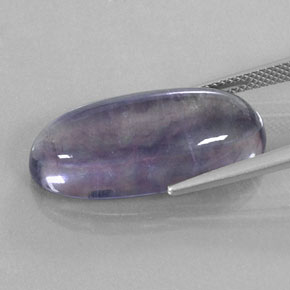 Fluorita multicolorido natural 19,82ct, transparente, transparente/translúcido
