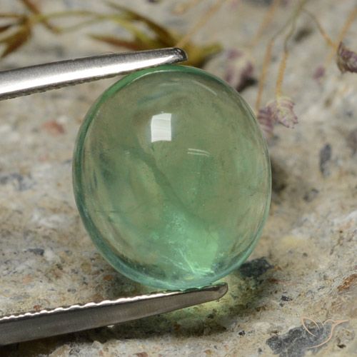 Fluorita musgo verde natural 8,35ct, corte oval, transparente