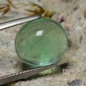 Fluorita musgo verde natural 8,35ct, corte oval, transparente