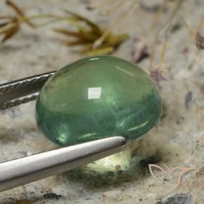 Fluorita musgo verde natural 8,35ct, corte oval, transparente