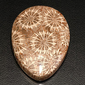 Coral fóssil multicolorido natural 42,11ct, formato de pêra, opaco