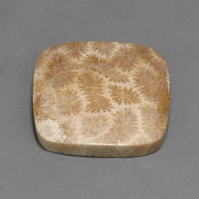 Coral fóssil multicolorido natural 45,27ct, almofada cortada, opaco