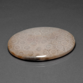 Coral fóssil multicolorido natural 93,67ct, corte oval, opaco