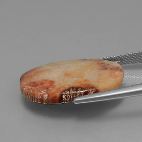 Coral fóssil Multicolorido Natural 15.17ct, Corte Oval, Opaco