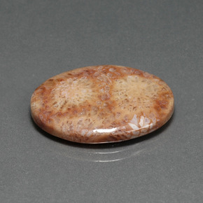Coral fóssil multicolorido natural 14,77ct, corte oval, opaco