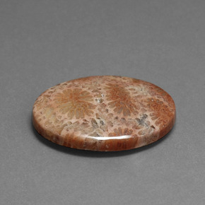 Coral fóssil Multicolorido Natural 16.75ct, Corte Oval, Opaco