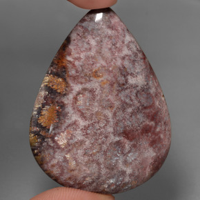 Coral fóssil multicolorido natural 65,56ct, formato de pêra, opaco