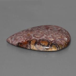 Coral fóssil multicolorido natural 65,56ct, formato de pêra, opaco