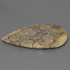 Coral fóssil Multicolorido Natural 70.58ct, Formato de pêra, Opaco