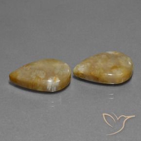 Pedras preciosas de Coral fóssil Multicolorido natural de 21.95 ct, Formato de pêra, Opaco