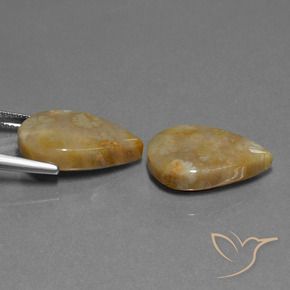 Pedras preciosas de Coral fóssil Multicolorido natural de 21.95 ct, Formato de pêra, Opaco