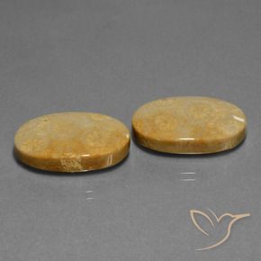Pedras preciosas de Coral fóssil Multicolorido natural de 32.11 ct, oval, Opaco