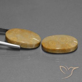 Pedras preciosas de Coral fóssil Multicolorido natural de 32.11 ct, oval, Opaco