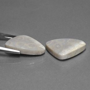 Pedras preciosas de coral fóssil multicolorido natural de 21,39 ct, trillion, opaco
