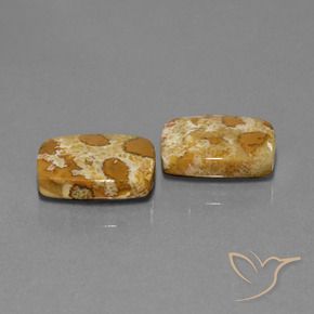 Pedras preciosas de Coral fóssil Multicolorido natural de 19.08 ct, Almofada, Opaco