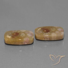 Pedras preciosas de Coral fóssil Multicolorido natural de 30.11 ct, Almofada, Opaco