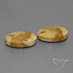 Pedras preciosas de Coral fóssil Multicolorido natural de 25.37 ct, oval, Opaco