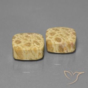 Pedras preciosas de Coral fóssil Multicolorido natural de 26.03 ct, Almofada, Opaco