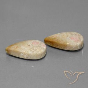 Pedras preciosas de Coral fóssil Multicolorido natural de 28.35 ct, Formato de pêra, Opaco