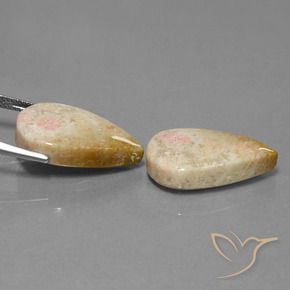 Pedras preciosas de Coral fóssil Multicolorido natural de 28.35 ct, Formato de pêra, Opaco