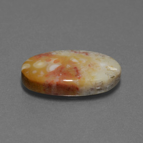 Coral fóssil multicolorido natural 8,82ct, corte oval, opaco