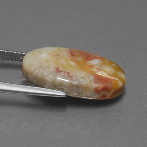 Coral fóssil multicolorido natural 8,82ct, corte oval, opaco