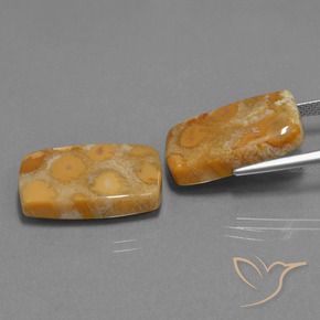 Pedras preciosas de Coral fóssil Multicolorido natural de 29.77 ct, Almofada, Opaco