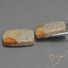 Pedras preciosas de Coral fóssil Multicolorido natural de 29.41 ct, Almofada, Opaco