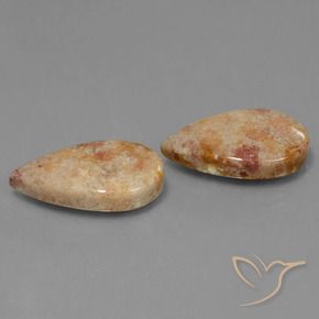 Pedras preciosas de Coral fóssil Multicolorido natural de 22.64 ct, Formato de pêra, Opaco
