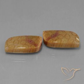 Pedras preciosas de Coral fóssil Multicolorido natural de 28.06 ct, Chique, Opaco