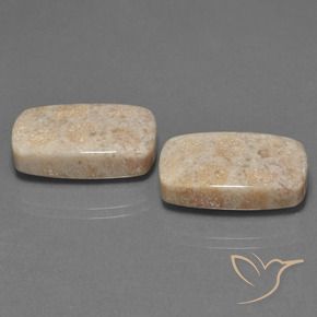 Pedras preciosas de Coral fóssil Multicolorido natural de 30.16 ct, Almofada, Opaco