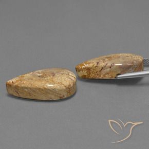 Pedras preciosas de Coral fóssil Multicolorido natural de 25.79 ct, Formato de pêra, Opaco