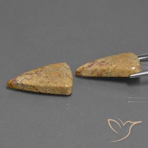 Pedras preciosas de Coral fóssil Multicolorido natural de 16.43 ct, Trilhão, Opaco