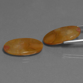 Pedras preciosas de Coral fóssil Multicolorido natural de  ct, Corte Oval, Translúcido