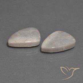 Pedras preciosas de Coral fóssil Multicolorido natural de 23.12 ct, Trilhão, Opaco