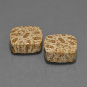 Pedras preciosas de Coral fóssil Multicolorido natural de  ct, Almofada cortada, Opaco