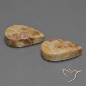 Pedras preciosas de Coral fóssil Multicolorido natural de 33.44 ct, Formato de pêra, Opaco