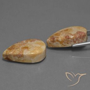 Pedras preciosas de Coral fóssil Multicolorido natural de 33.44 ct, Formato de pêra, Opaco