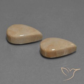 Pedras preciosas de Coral fóssil Multicolorido natural de 17.01 ct, Formato de pêra, Opaco