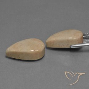 Pedras preciosas de Coral fóssil Multicolorido natural de 17.01 ct, Formato de pêra, Opaco